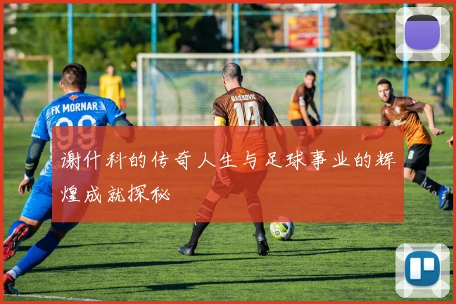 谢什科的传奇人生与足球事业的辉煌成就探秘