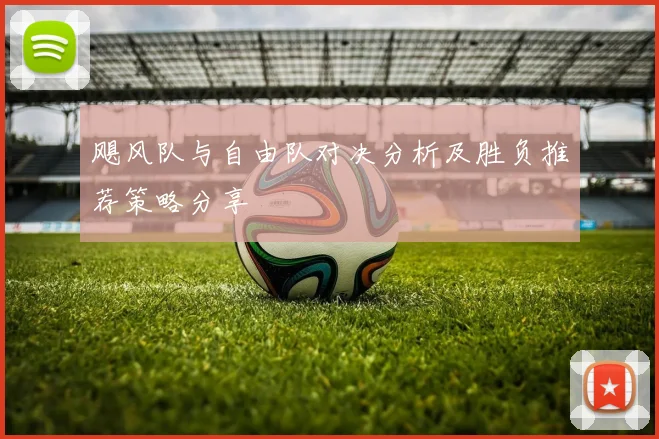 飓风队与自由队对决分析及胜负推荐策略分享