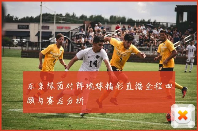 东京绿茵对阵琉球精彩直播全程回顾与赛后分析