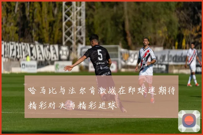 哈马比与法尔肯激战在即球迷期待精彩对决与精彩进球