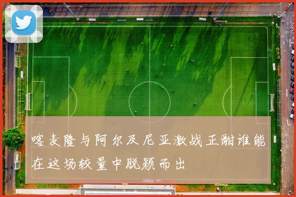 喀麦隆与阿尔及尼亚激战正酣谁能在这场较量中脱颖而出