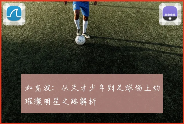 加克波：从天才少年到足球场上的璀璨明星之路解析