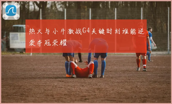 热火与小牛激战G4关键时刻谁能逆袭夺冠荣耀